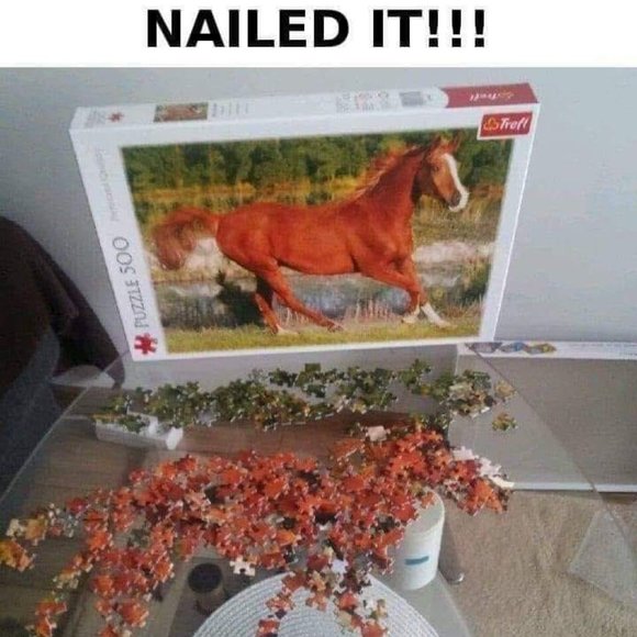 Just for Fun - Picture 8 of 16